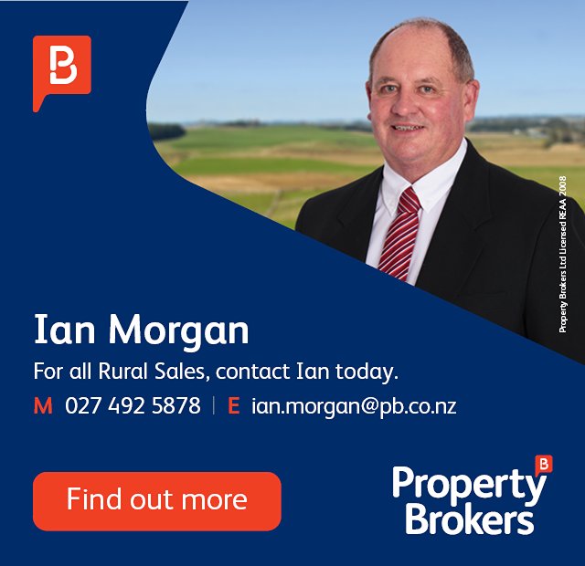 Ian Morgan Property Brokers