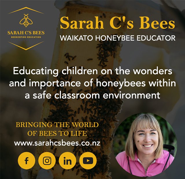 Sarah C's Bees