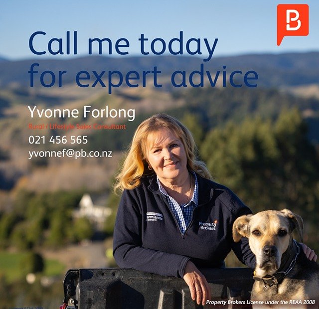 Yvonne Forlong - Property Brokers