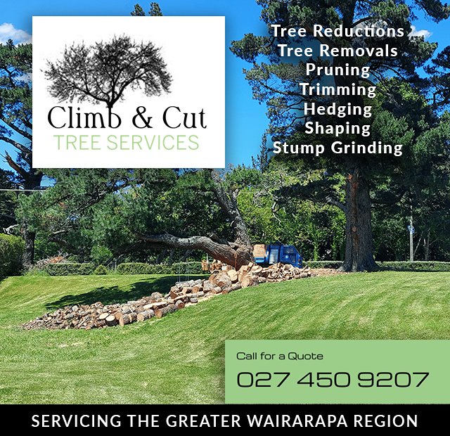 Climb & Cut Tree Services