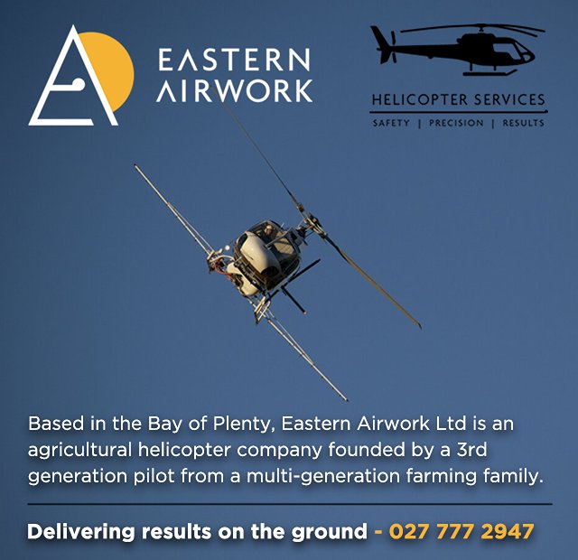 Eastern Airwork