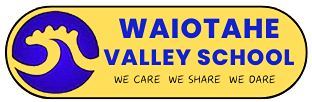 Logo Footer