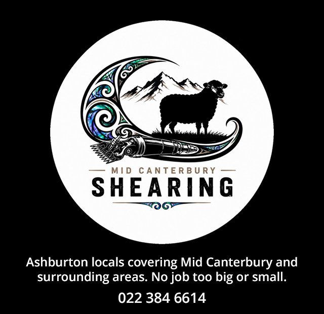 Mid Canterbury Shearing