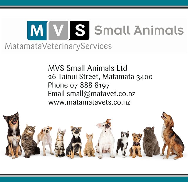 MVS Small Animals Ltd