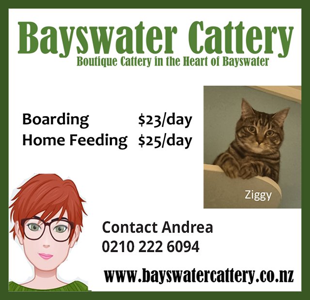 Bayswater Cattery