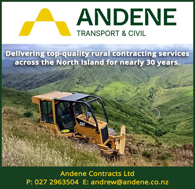 Andene Transport and Civil 2025