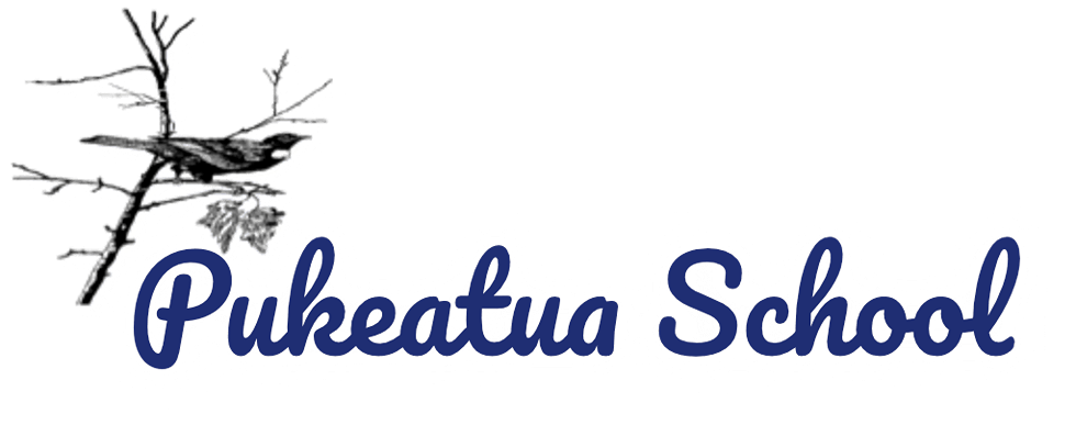 Pukeatua School