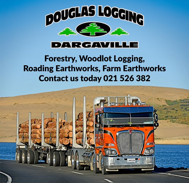 Douglas Logging