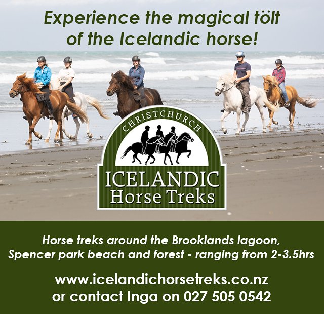Christchurch Icelandic Horse Treks