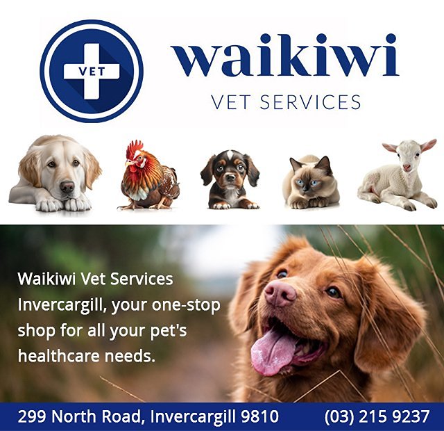 Waikiwi Vet Services Ltd - St Patrick's Invercargill School
