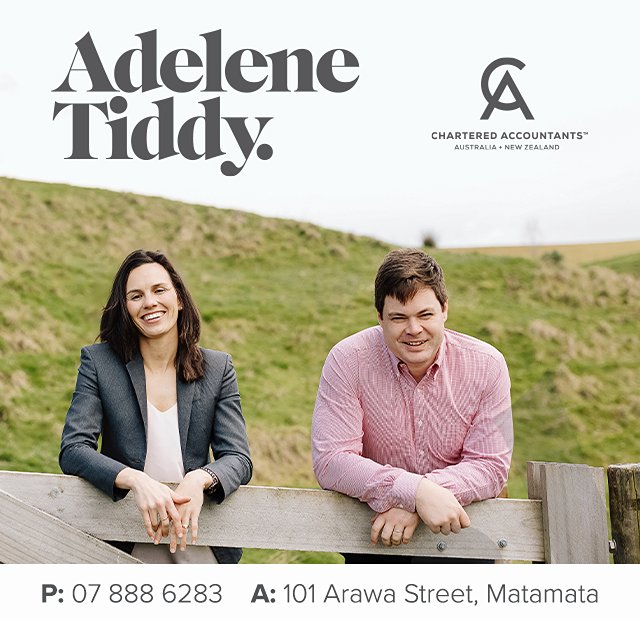 Adelene Tiddy Chartered Accountant