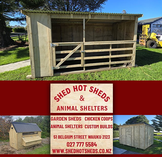 Shed Hot Sheds and Animal Shelters