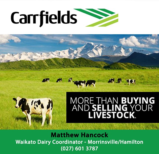 Matthew Hancock - Carrfields Livestock Agent - Morrinsville Intermediate School
