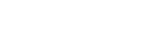 Logo Footer