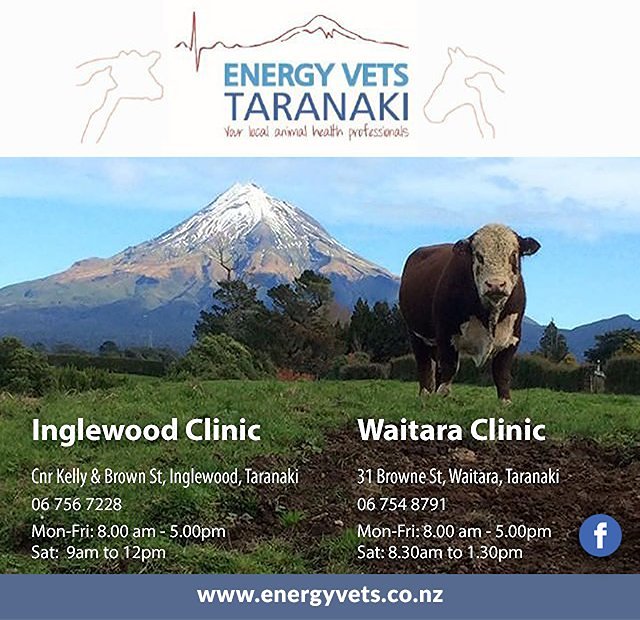 Energy Vets Taranaki Ltd