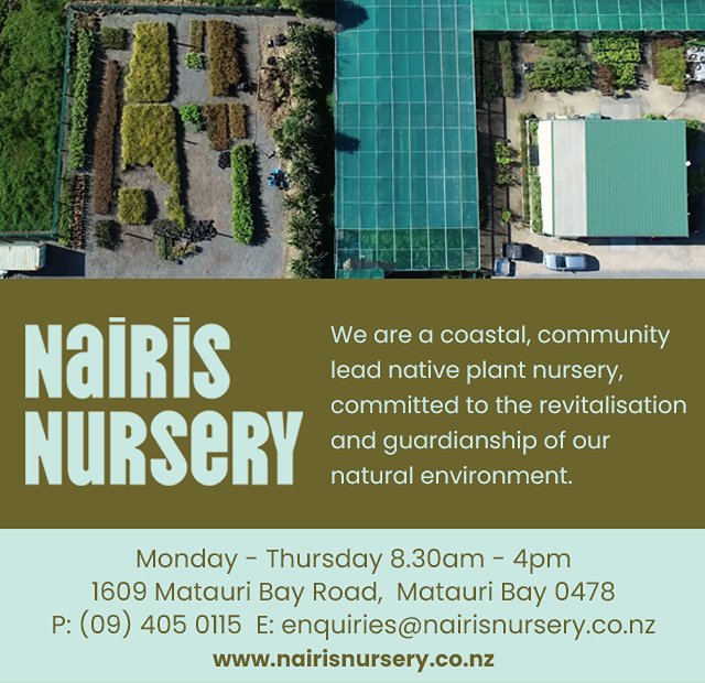 Nairis Nursery