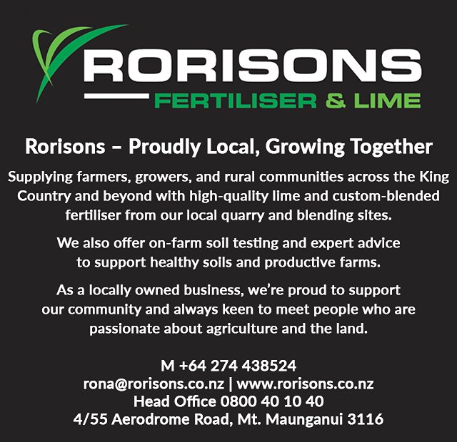 Rorisons
