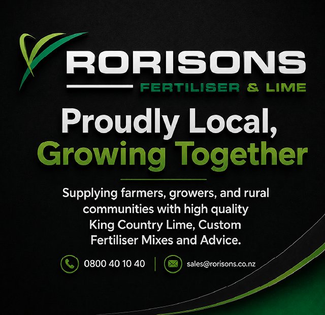Rorisons