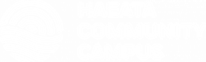 Logo Footer