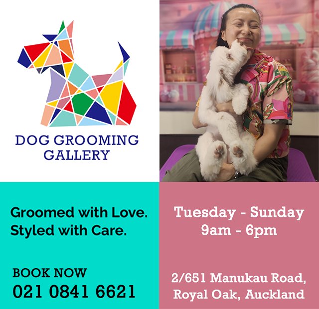 Dog Grooming Gallery