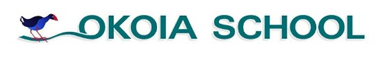 Logo Footer