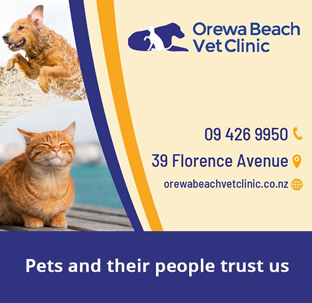 Orewa Beach Veterinary Clinic