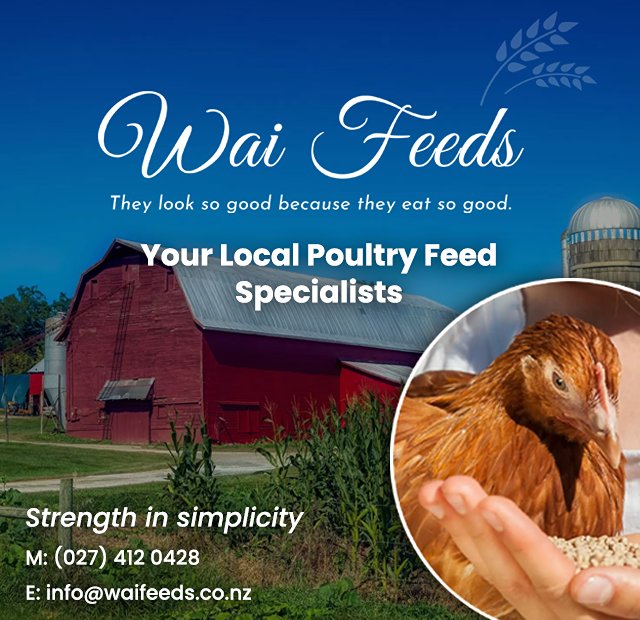 Wai Feeds