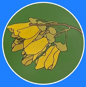 Logo Footer