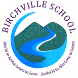 Birchville School