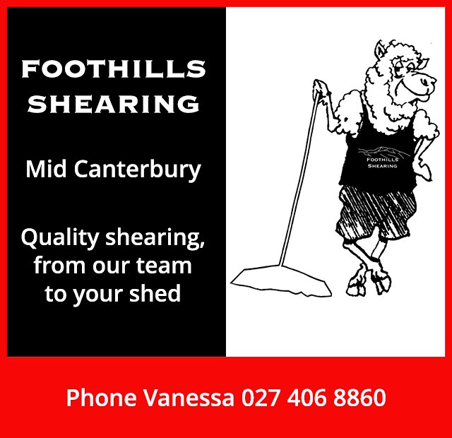 Foothills Shearing