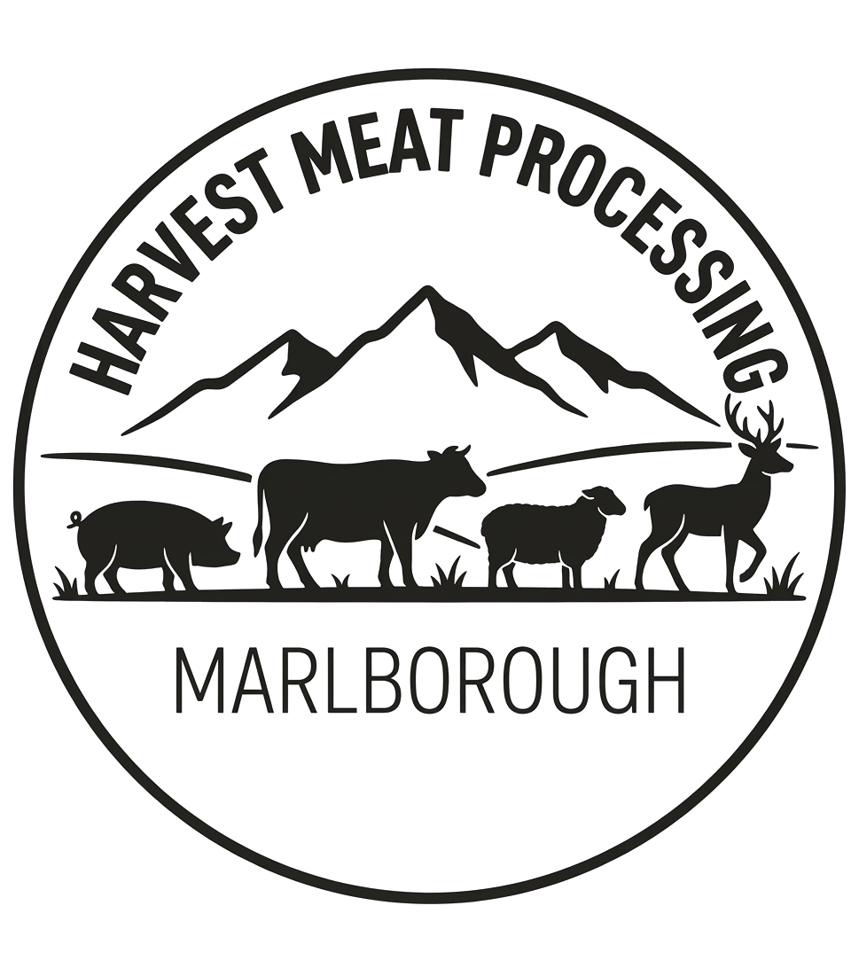 Logo Footer
