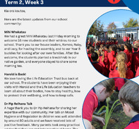 Community Newsletter Term 2 Week 3