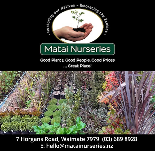 Matai Nurseries