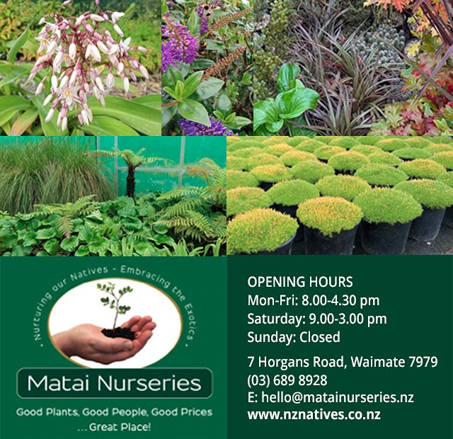 Matai Nurseries