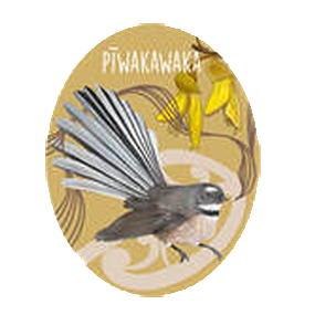 Piwakawaka Class