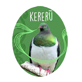 Kereru Class