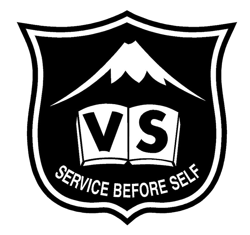Logo Footer