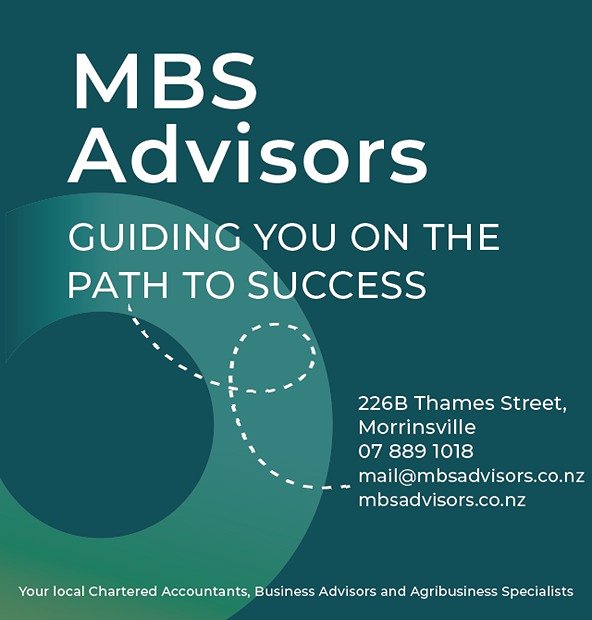 MBS Advisors