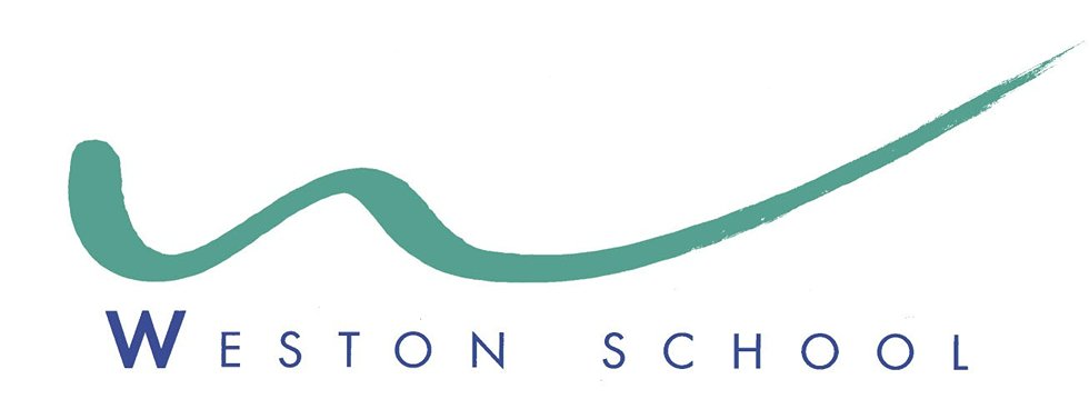 Logo Footer