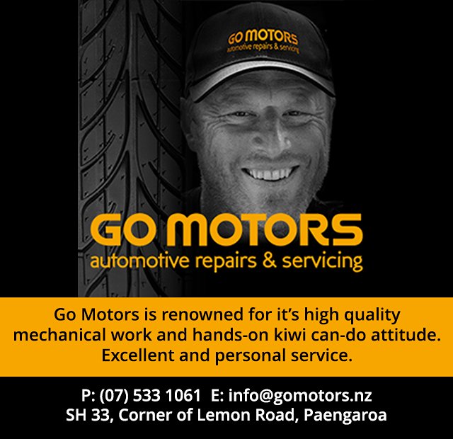Go Motors