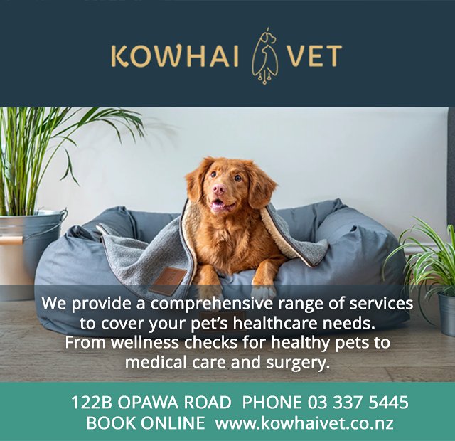 Kowhai Vets