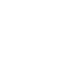 Logo Footer