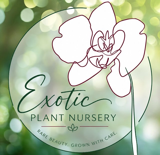 Exotic Plant Nursery