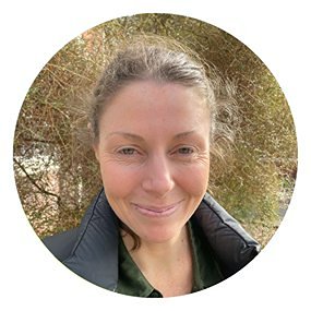 Liz Ansell
