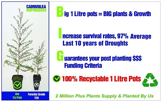 Cambrilea Weed Spraying