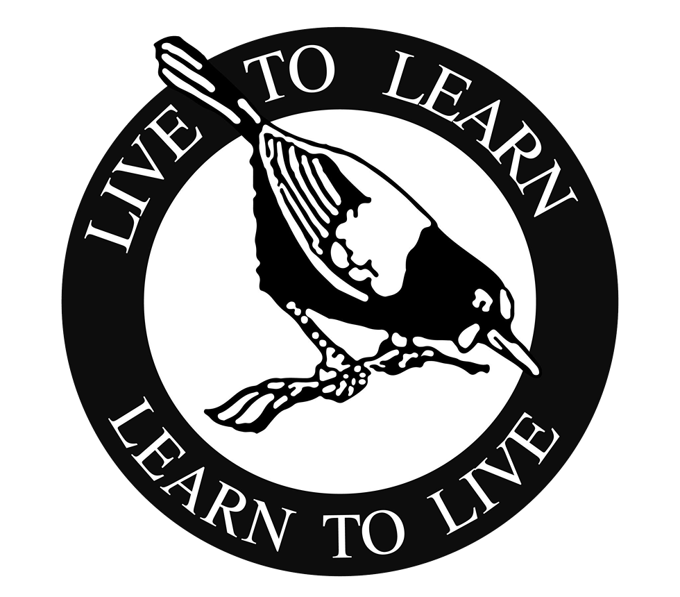 Logo Footer
