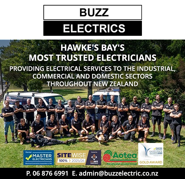 Buzz Electrics