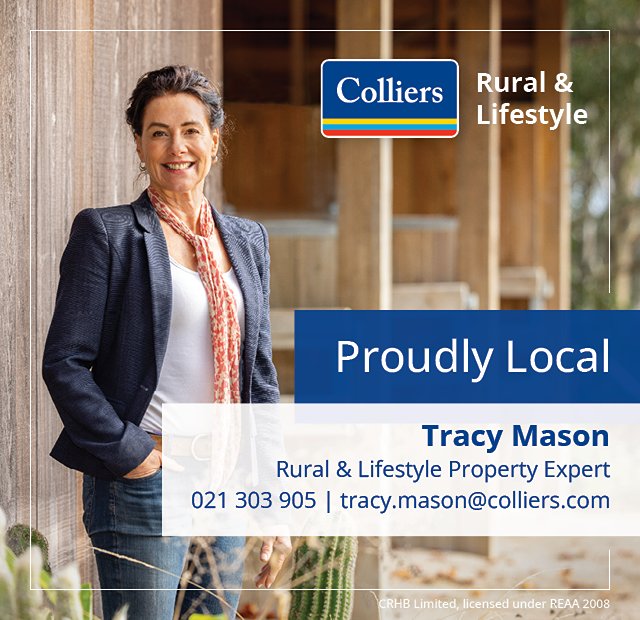 Tracy Mason &ndash; Colliers
