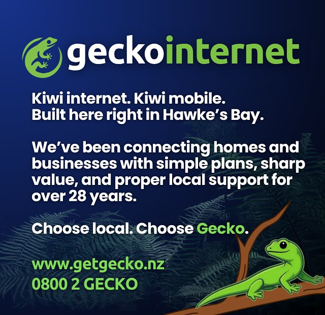 Gecko Internet