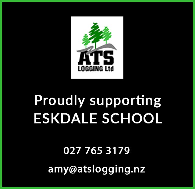 ATS Logging Ltd